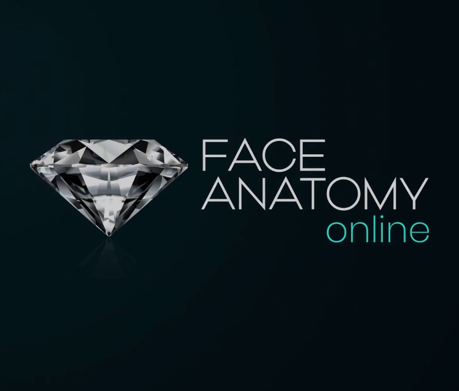 Face Anatomy